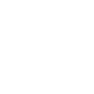 Auto Finesse