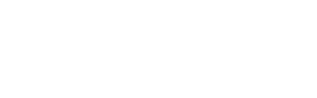 Swift Developer