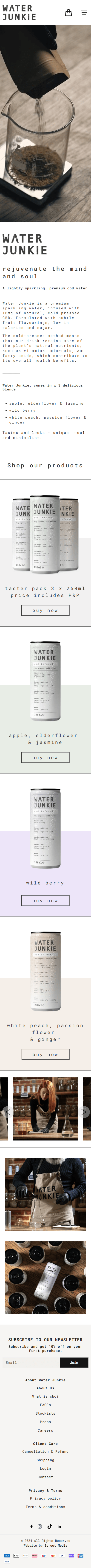 Water Junkie Website Design